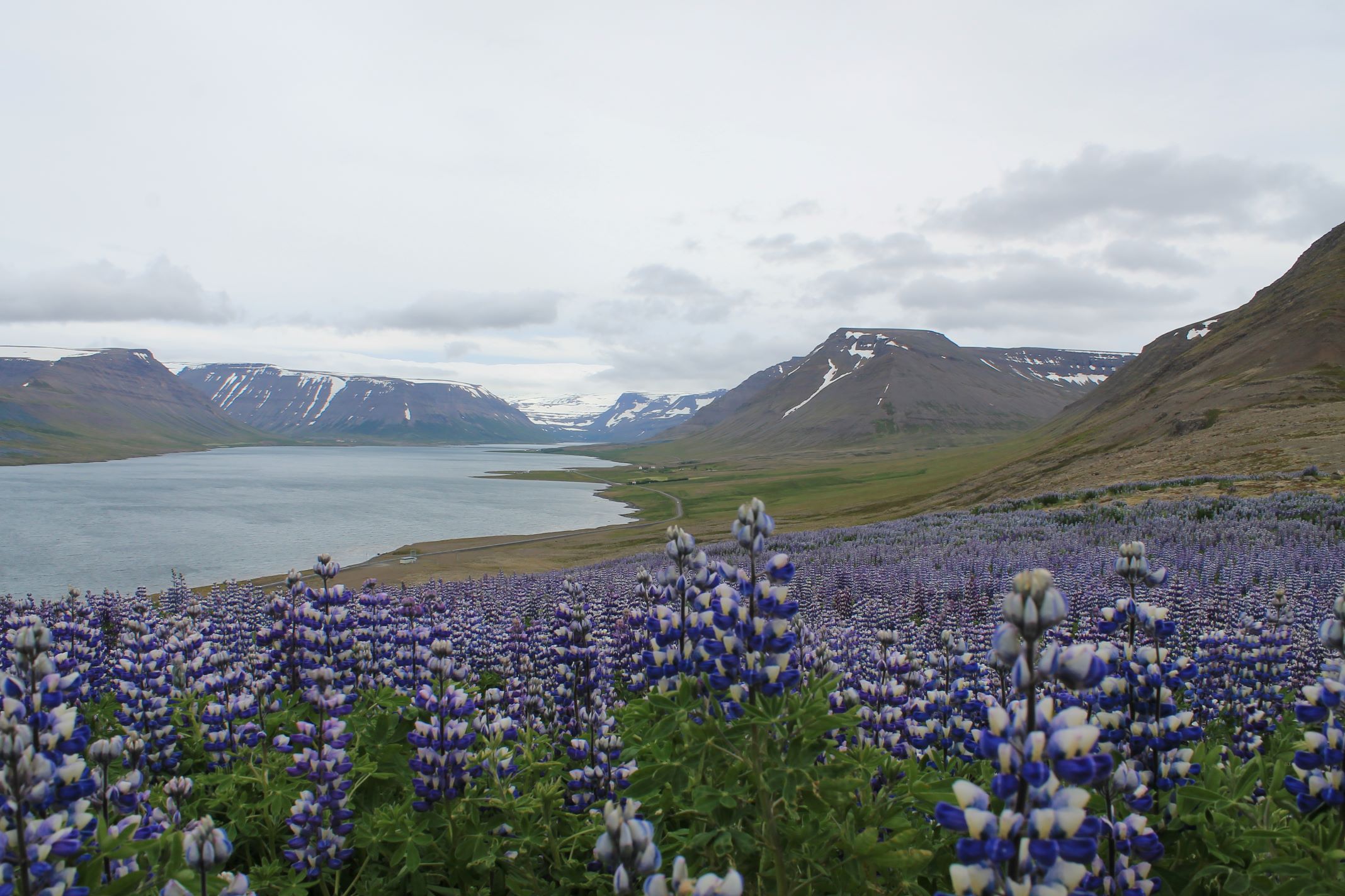 interio islandia tour