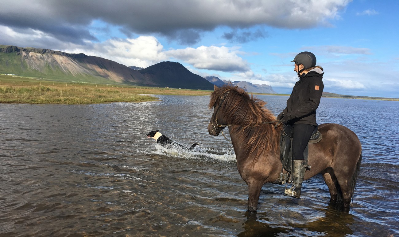 caballos-islandia-playa-excursion