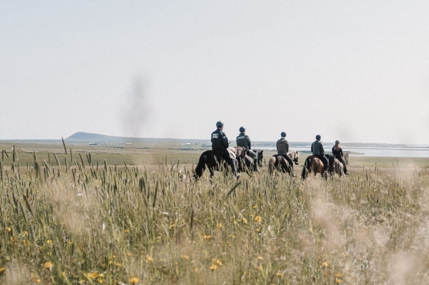 excursion-caballo-playa-islandia