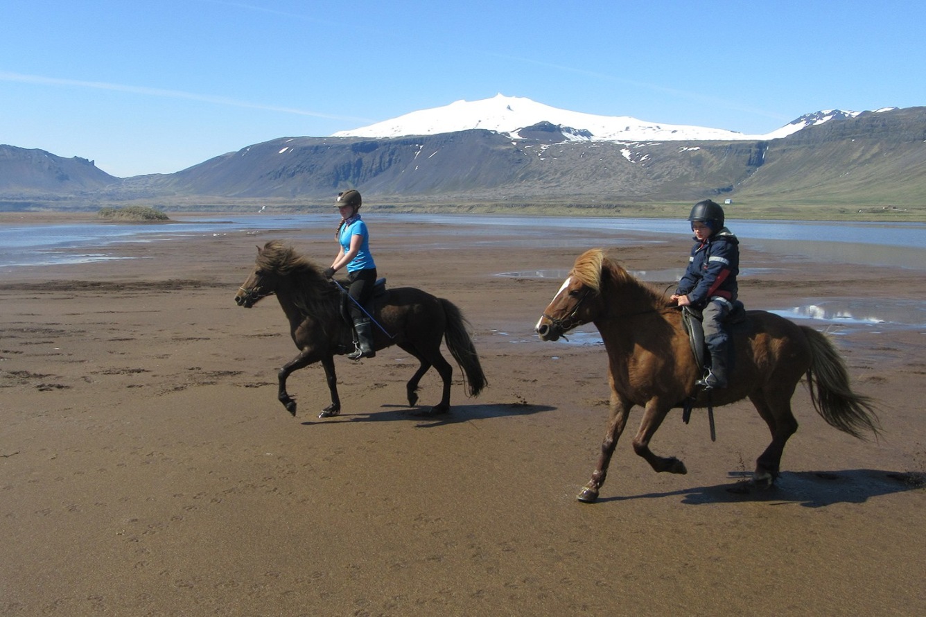 playa-caballos-excursion-Snaefellsnes