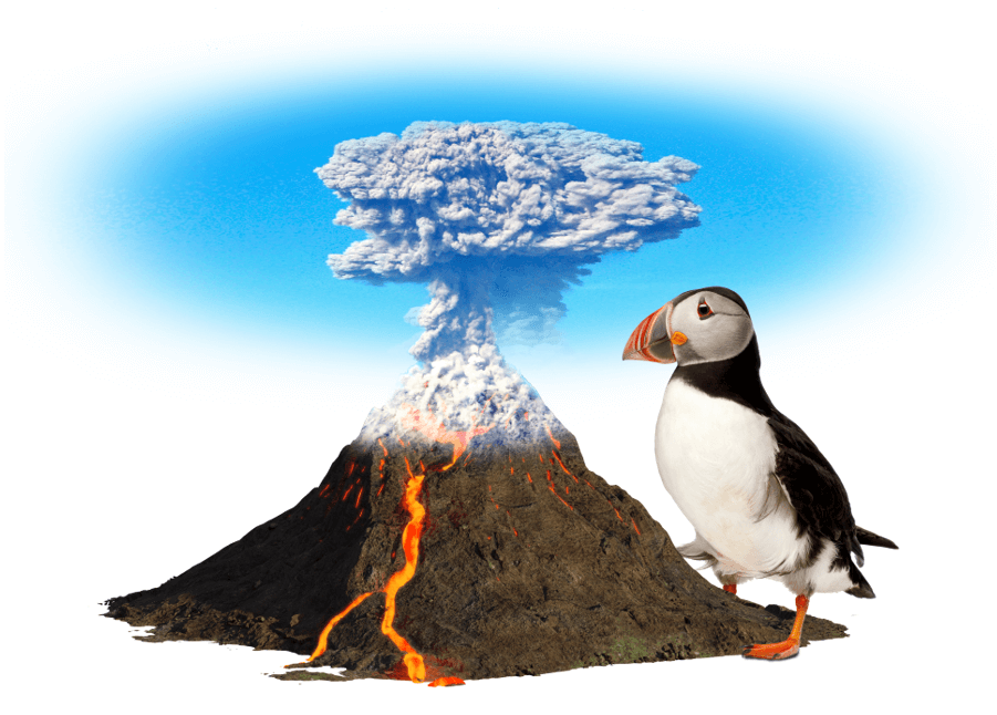 Erupción en Islandia con ISLANDICA frailecillo