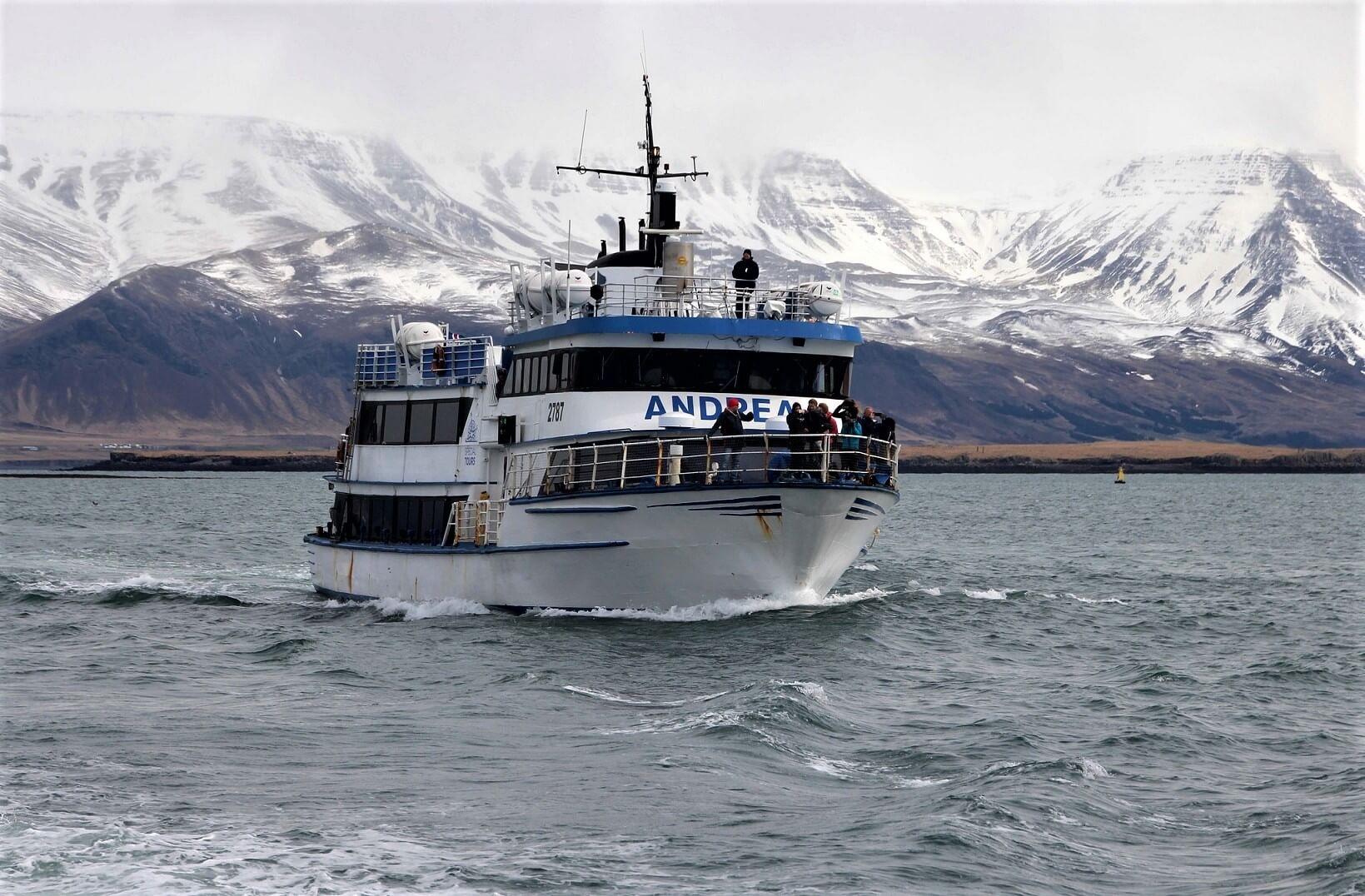 Avistamiento de ballenas en barco moderno en Islandia
